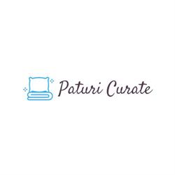 Paturi Curate, Timişoara program de funcționare