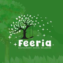 Feeria Bistriţa, program de funcționare