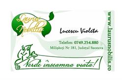 Plante Ornamentale-Laurus Nobilis, Milişăuţi program de funcționare