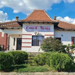 Conacul Ancuţei (Conacul Ancuţei), Brad program de funcționare