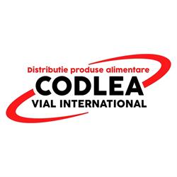Codlea Vial International, Arad program de funcționare