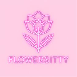 FlowerSitty Vulcan, program de funcționare