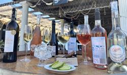 Peşte şi Vin în Vamă, Vama Veche program de funcționare