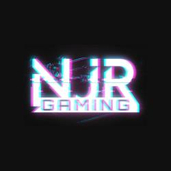 NJR Gaming, Ovidiu program de funcționare