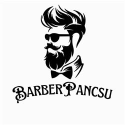 BarberPancsu, Carei program de funcționare