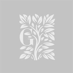 The Garden (Park Events), Piatra-Neamţ program de funcționare