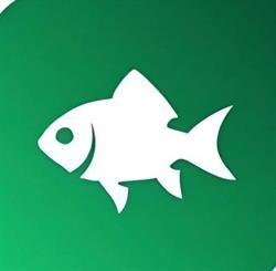 Fishing Mania Competition, Ghermăneşti program de funcționare
