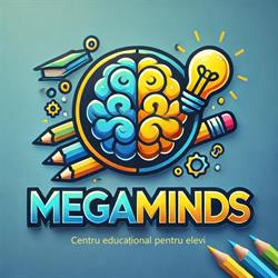 MegaMinds Timişoara, program de funcționare