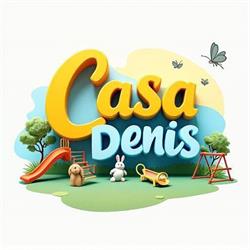 Casa Denis, Satu Mare program de funcționare