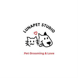 LunaPet Studio, Tulcea program de funcționare