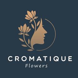 Cromatique, Buzău program de funcționare