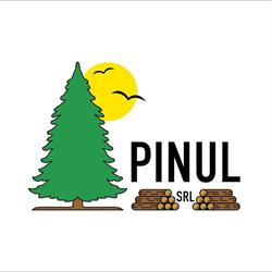 Depozit Lemn Foc/ Cherestea Pinul Jibou, program de funcționare