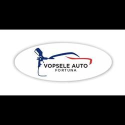 Vopsele Auto Fortuna Craiova, program de funcționare