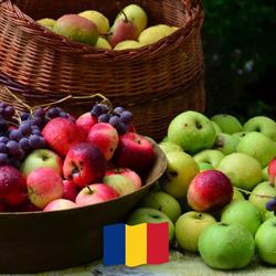 Livada cu pomi fructiferi-Braila, program de funcționare