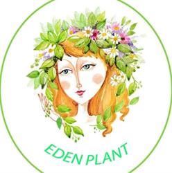 Eden Plant, Rădăuţi program de funcționare