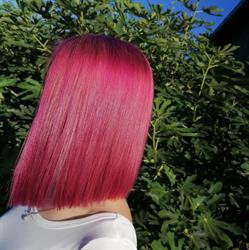 Lolita Coiffure Corner, Deta program de funcționare