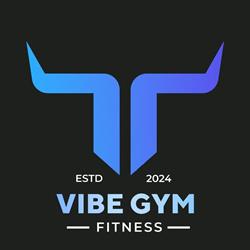 Vibe Gym Fitness, Oradea program de funcționare