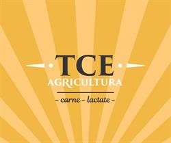 TCE Agricultură, Bucureşti program de funcționare