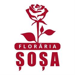 Floraria Sosa Ocna Mures, program de funcționare