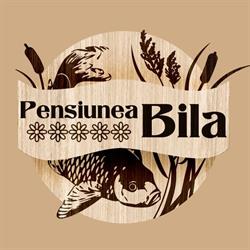 Pensiunea Bila, Naipu program de funcționare