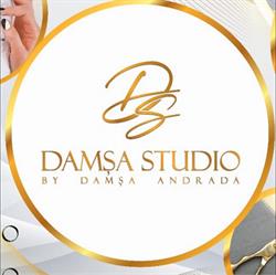 Damsa Studio, Lugoj program de funcționare