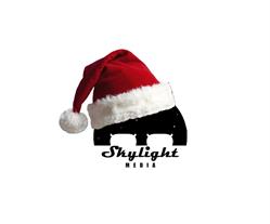 Skylight Media, Carei program de funcționare