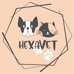 Hexavet Romania, Buftea program de funcționare