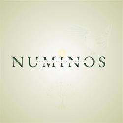 Numinos, Bucureşti program de funcționare