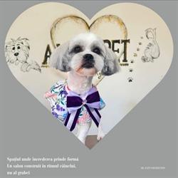 Alma Pet (Grooming), Botoşani program de funcționare