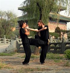WDKF Wudang Kung Fu Bucureşti, program de funcționare