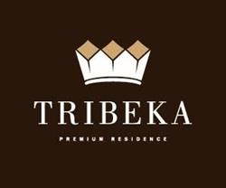 Tribeka Vivo, Floreşti program de funcționare
