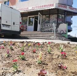 Aprozar Madysabel Constanta, program de funcționare