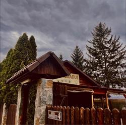 Terasa Bradul, Caransebeş program de funcționare