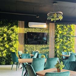 Green Cafe Motru, program de funcționare