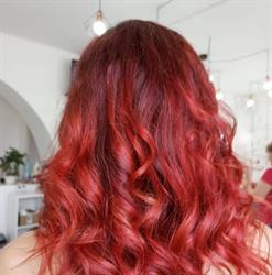 Friedmann Beauty Salon, Timişoara program de funcționare