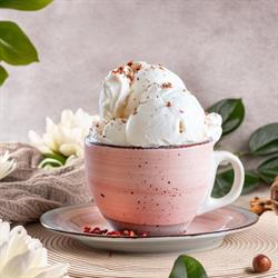 Mister Gelato Galati, program de funcționare
