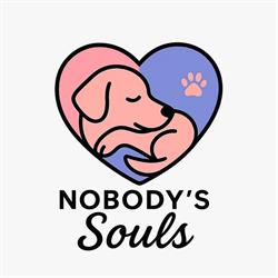 Nobody's Souls, Hunedoara program de funcționare