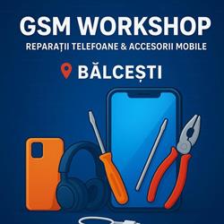 GSM Workshop, Bălceşti program de funcționare