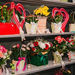 Family Flowers, Recaş program de funcționare