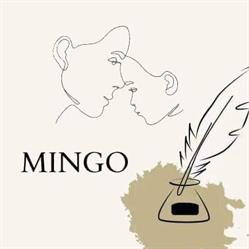 Centru Educational Mingo, Timişoara program de funcționare