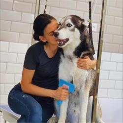Pet Spa Shop&More, Baia Mare program de funcționare