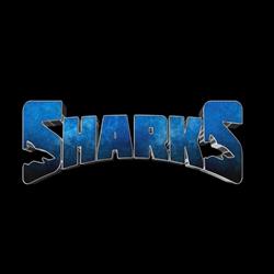 Baschet Club Laguna Sharks, Bucureşti program de funcționare