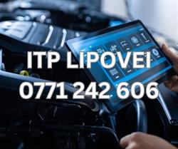ITP Lipovei, Timişoara program de funcționare