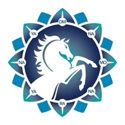 Bhakti Marga Romania, Bucureşti program de funcționare