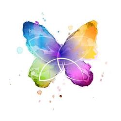 Butterfly Academy, Timişoara program de funcționare
