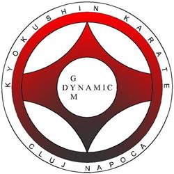 Dynamic Gym Karate Kyokushin Cluj-Napoca, program de funcționare