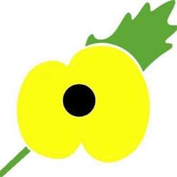 Yellow Poppy, Drobeta-Turnu Severin program de funcționare