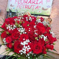 Floraria Petruta Brasov, program de funcționare