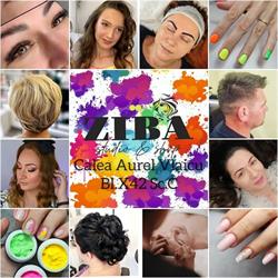 Ziba Studio & Shop, Arad program de funcționare