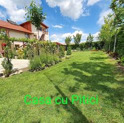 Casa cu Pitici, Murighiol program de funcționare